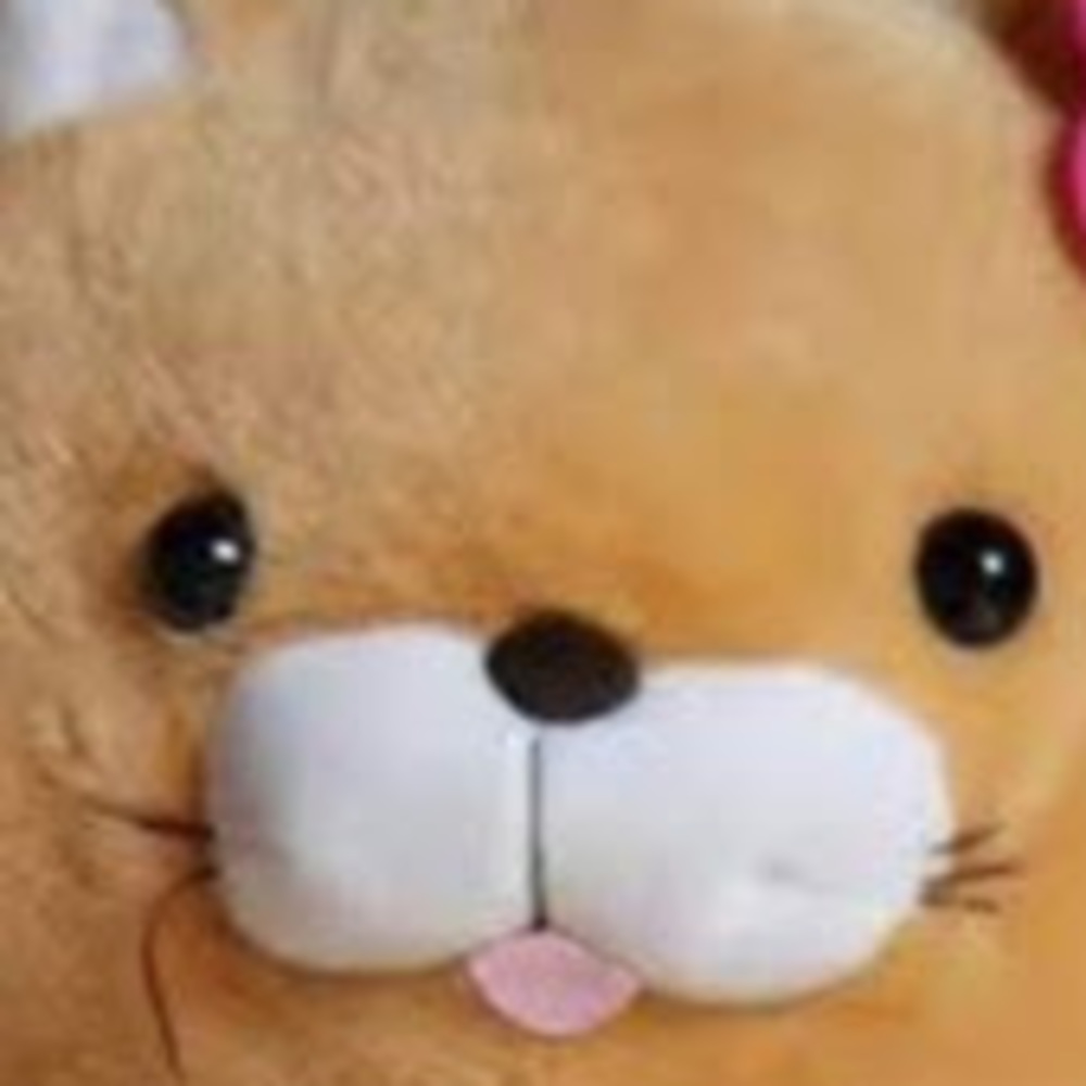 Meet your Posher, Gerson